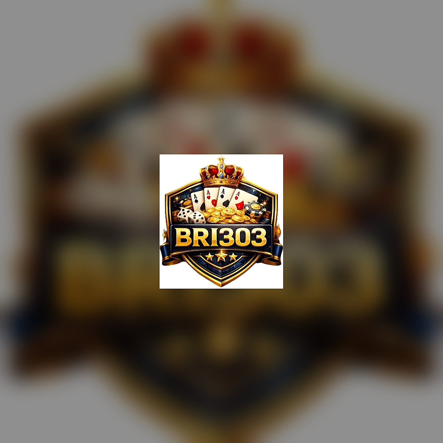 bri303